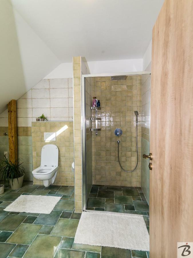 U Lipy Apartment *